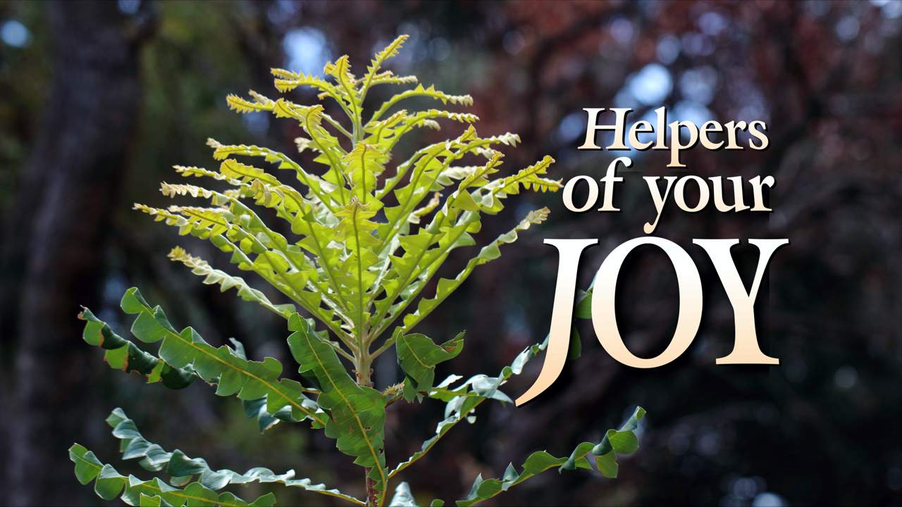 Helpers of Your Joy