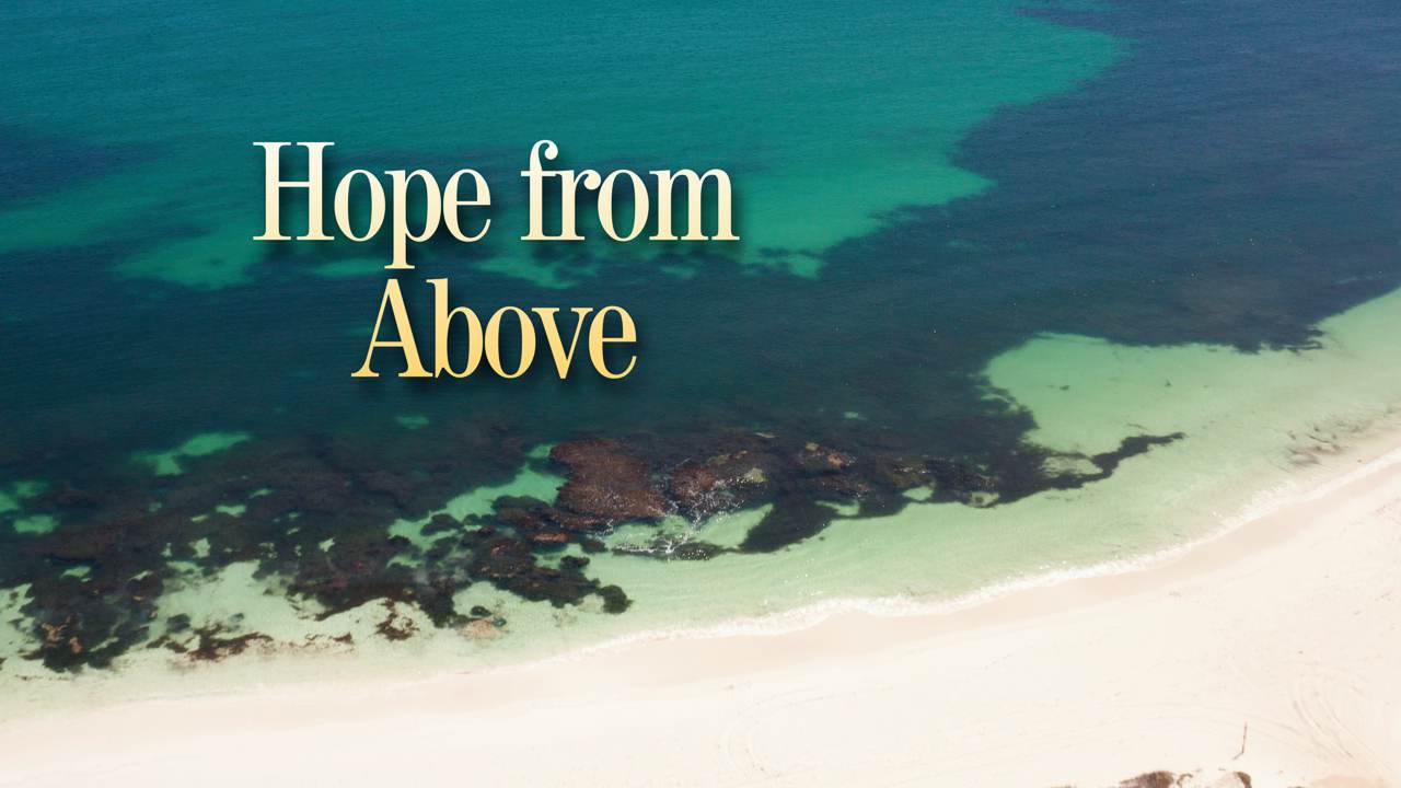 Hope from Above