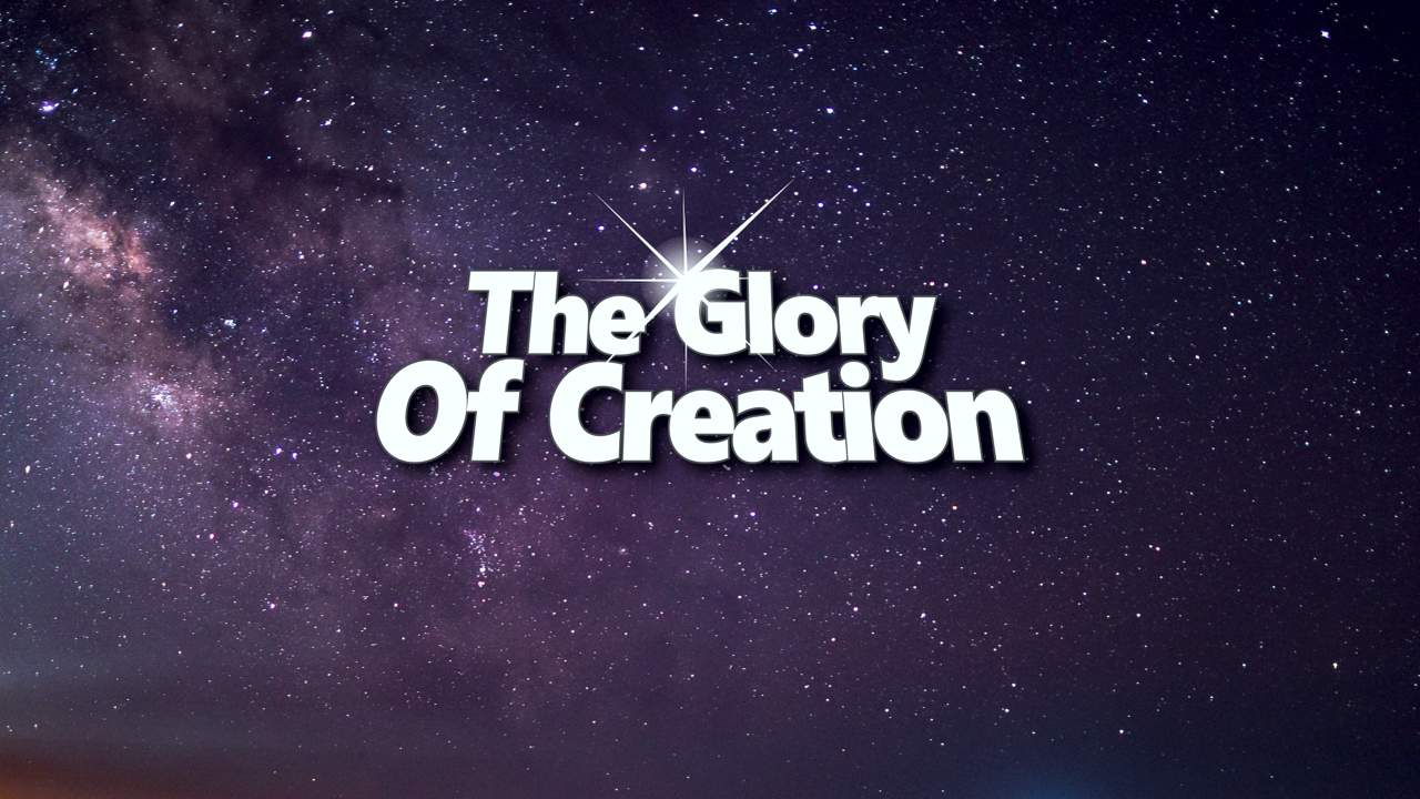 The Glory of Creation